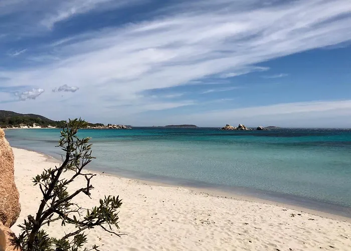 Feriehus Orethaga Piscine 10 Pers Vecchio Porto-Vecchio (Corsica)